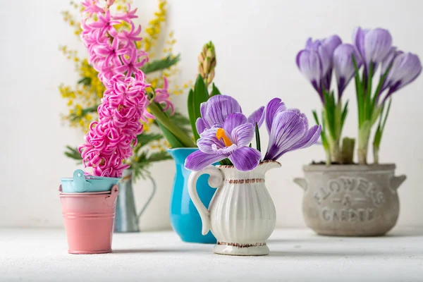 Frühlings Komposition Mit Verschiedenen Blumen — Stockfoto