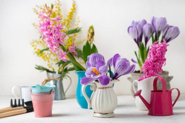 Spring composition with different flowers and garden tools