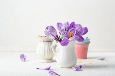 Hafif yüzey bahar çiçeklerinde vazoda mor krukus.