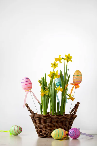 Primavera Narcisos Flores Cesta Narciso Conceito Páscoa Ovos Decorativos — Fotografia de Stock