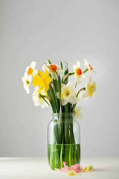 Set Narcisi Primaverili Vaso Vetro — Foto Stock