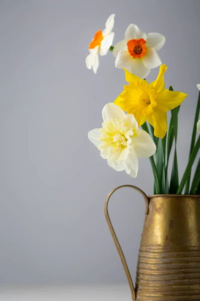 Çiçek Açan Bahar Nergislerine Yakın Çiçekler Eski Sürahinin Içinde — Stok fotoğraf