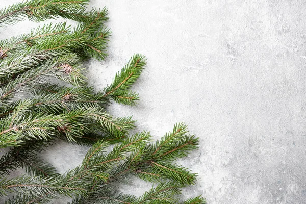 Weihnachten Urlaub Hintergrund Mit Grünem Zweig — Stockfoto