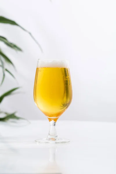 Glass with light beer and foam light background copy space