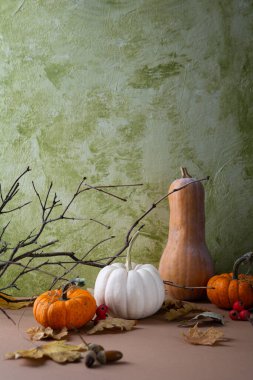 Çıplak dallar ve balkabakları ile sonbahar sakin yaşamı uzay tatilini kopyalıyor