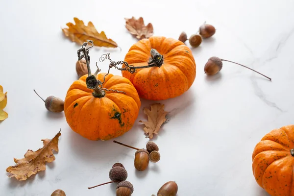 Sonbahar konsepti portakal kabağı ve kuru yapraklar