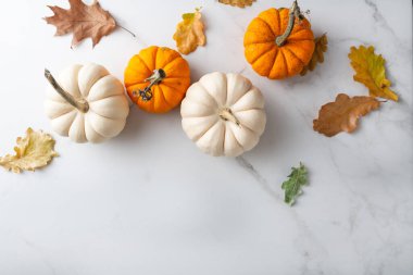 Autumn concept background with pumpkin and copy space