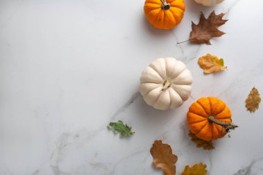 Autumn background with pumpkin and copy space
