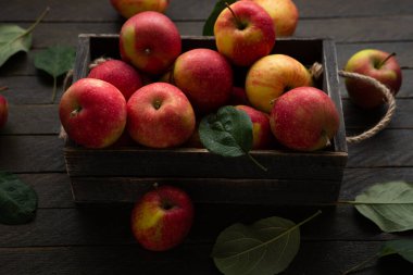 Fresh farmer apples in wooden crate harvest fruits on rustic surface homegrown food