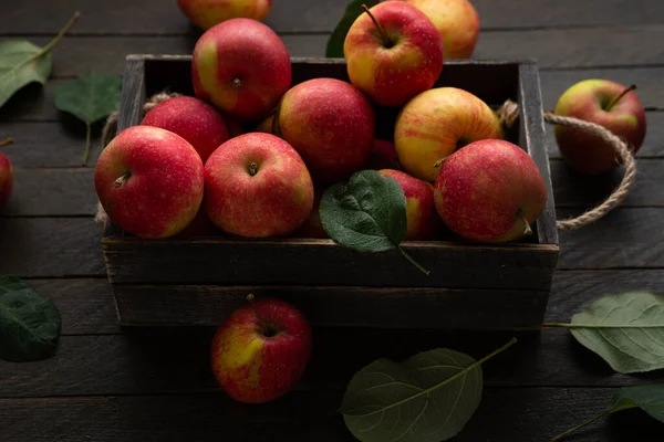 Fresh Farmer Apples Wooden Crate Harvest Fruits Rustic Surface Homegrown — Stockfoto