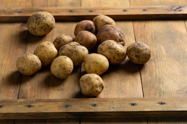 Fresh Homegrown Organic Potatoes Wooden Table — Stock fotografie