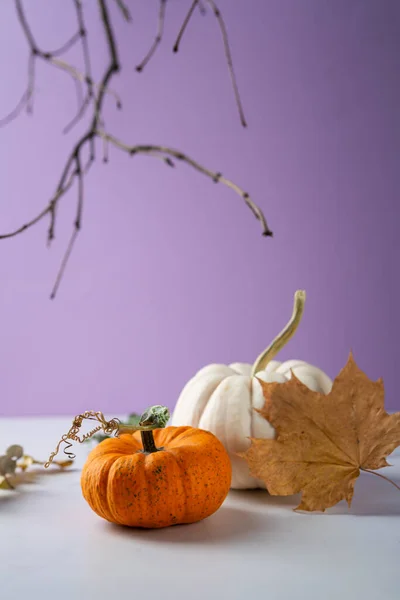 Orange White Pumpkins Purple Halloween Background Twigs — Photo