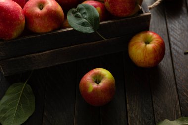 Fresh apples in wooden crate harvest fruits on wooden surface homegrown food