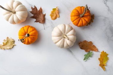 White and orange pumpkin on marble surface food top view
