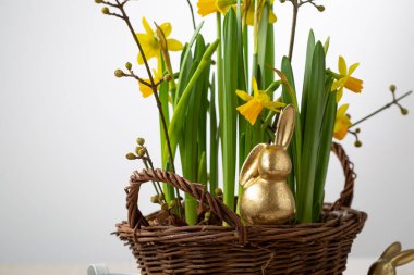 Bahar Paskalya konsepti tavşanı ve saksıda çiçekler 