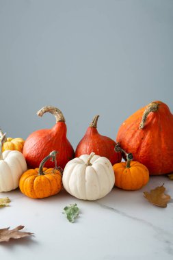 Sonbahar balkabağı yaşam boyu tatil konsepti