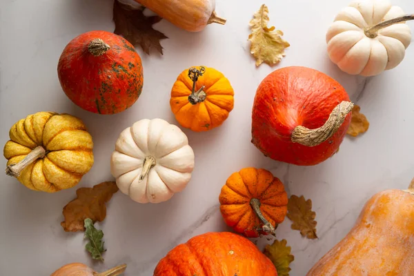 秋のカボチャセット静物休日のコンセプト Top View — ストック写真