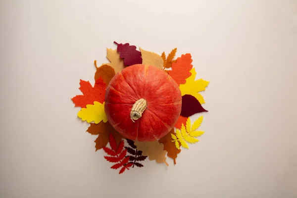 Sonbahar Yaprakları Turuncu Balkabağı Manzarası — Stok fotoğraf