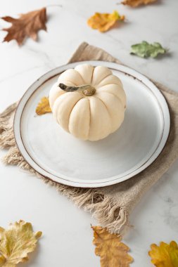 Beyaz balkabağı sonbahar konsepti boş tabağı kapat