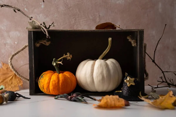 Halloween Citrouille Jaune Blanc — Photo