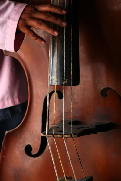 Musiker spielt ein traditionelles Cello — Stockfoto