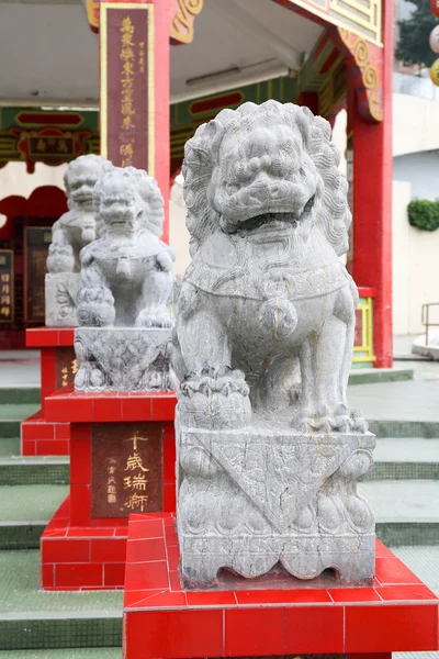 Taş aslan heykeli repulse bay Temple, hong kong — Stok fotoğraf