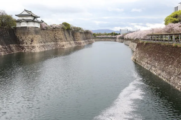 Osaka castle fästning nära en kanal med sakura blossom, Osaka, J — Stockfoto