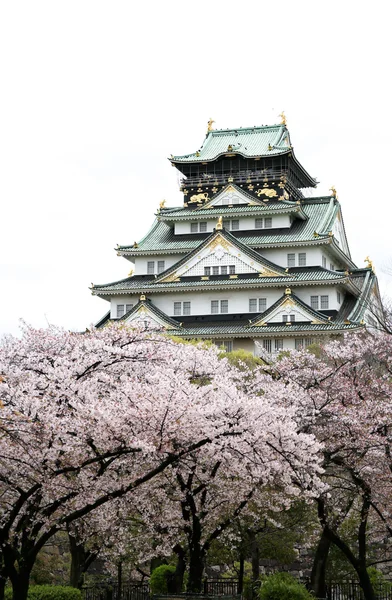 Osaka castle med sakura blossom i Osaka, Japan — Stockfoto