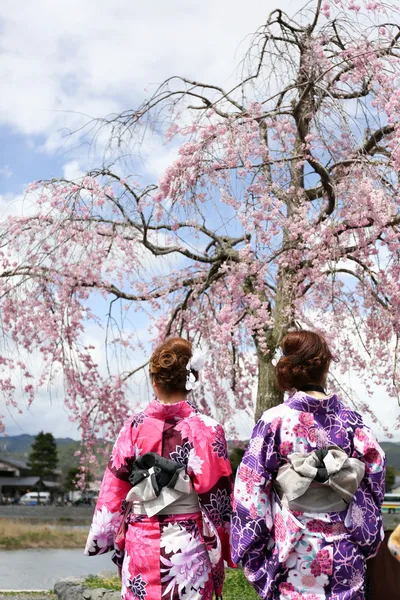 Japanse meisje in klederdracht genaamd kimono met sakura blo — Stockfoto