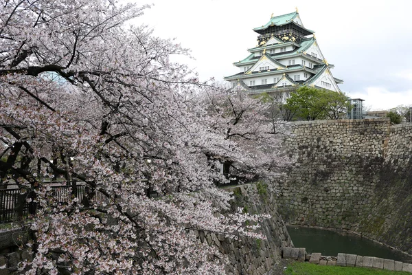 Osaka castle with sakura blossom in Osaka, Japan — Stock Photo, Image