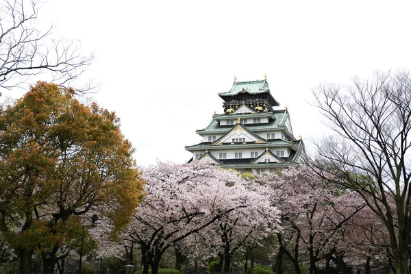 Kasteel Osaka met sakura bloesem in Osaka, Japan — Stockfoto