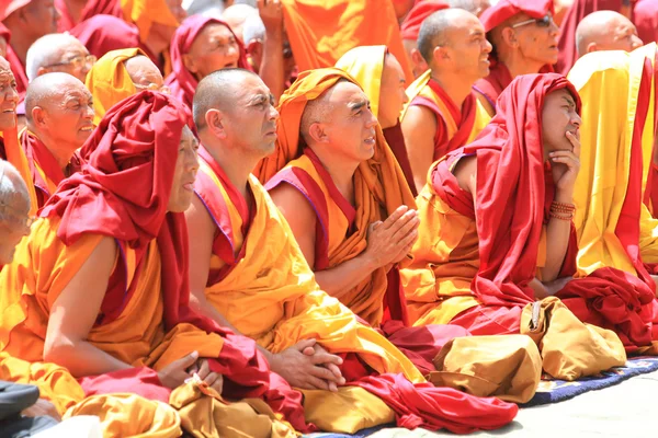 Leh, india - augustus 5, 2012: niet-geïdentificeerde boeddhistische monniken en lam — Stockfoto