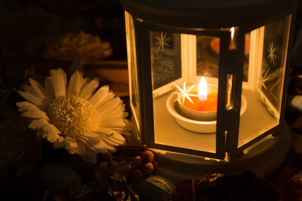 Torkade blommor med lampa — Stockfoto