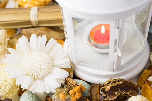 Dried flowers with lamp and candle — Stock Photo, Image