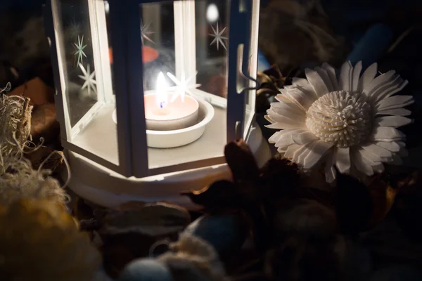 Torkade blommor med lampa — Stockfoto