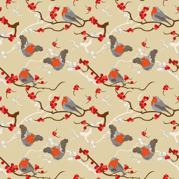Robin des seins rouges — Image vectorielle