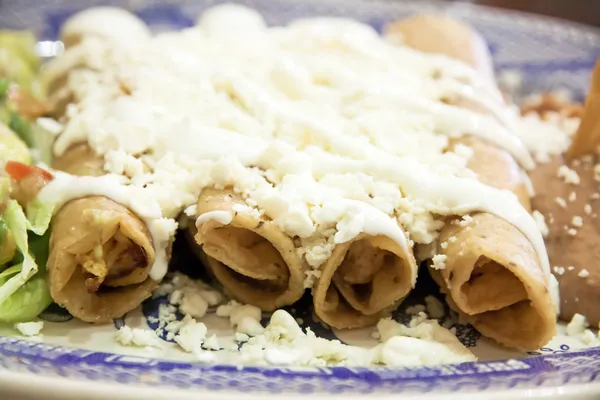 Enchiladas se sýrem a fazole — Stock fotografie