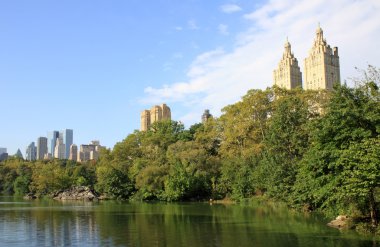 New York 'taki Central Park
