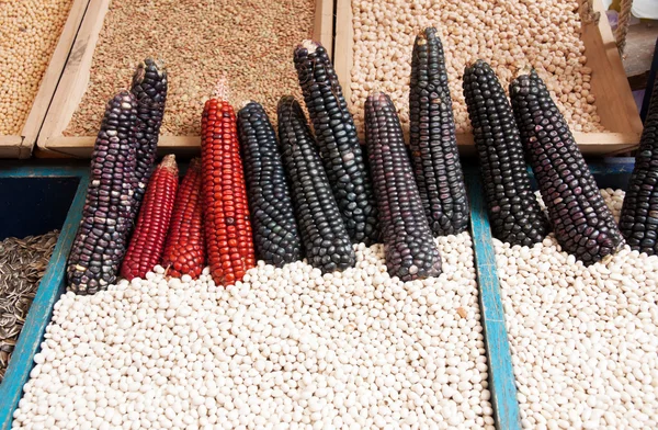 Black corn — Stock Photo, Image