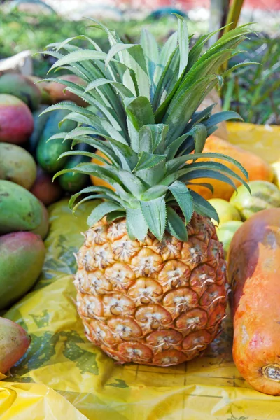 Ananas — Stockfoto