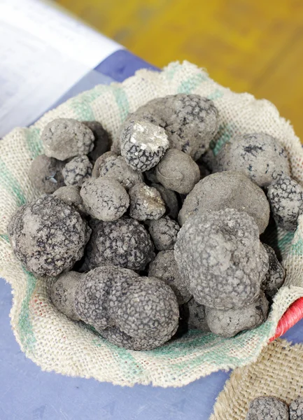 Panier de truffes — Photo