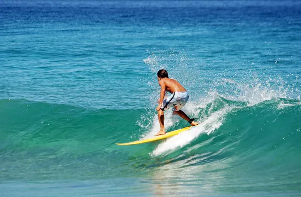 Surf — Fotografia de Stock