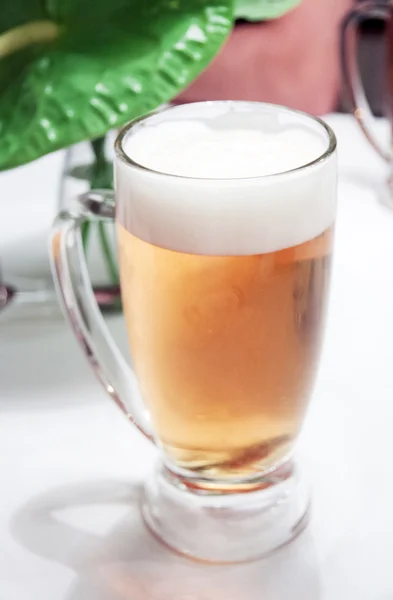 Beer — Stock Photo, Image