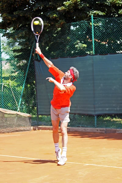 テニスのチャンピオン — ストック写真