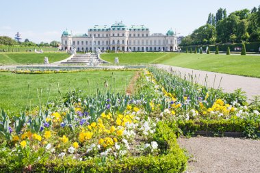 Belvedere Sarayı, wien, Avusturya