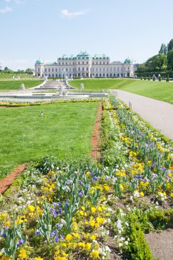 Belvedere Sarayı, wien, Avusturya