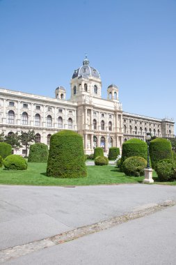 Sarayda wien
