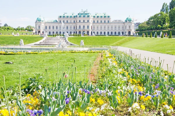 Belweder w Wiedniu, austria — Zdjęcie stockowe