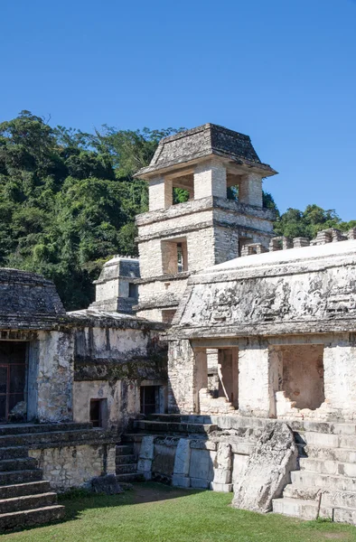 Palenque, Mexiko — Stock fotografie