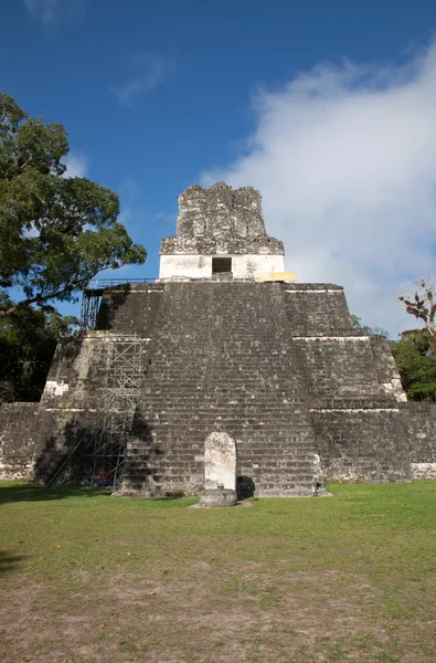 Tikal, Gwatemala — Zdjęcie stockowe